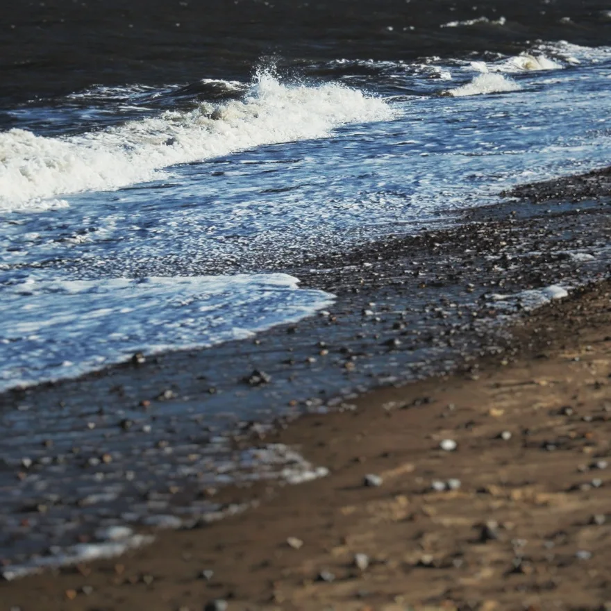 Waves 7